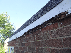 Four things to look out for on your roof