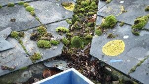 DPR Ltd undertake gutter works project for Oak Leaf Products