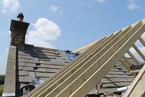Summer Roof