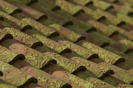 Moss scam