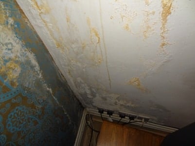 Student home has serious damp problem