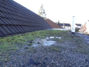 Leeds Flat Roof covered in moss