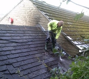 Moss Removal