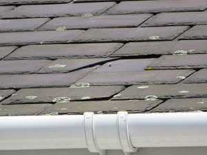 Domestic roof