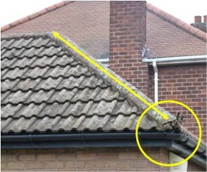 Doncaster bungalow roof
