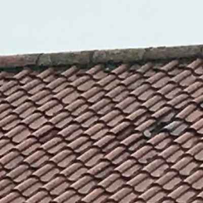 Is Your Commercial Roofing Posing a Safety Risk?