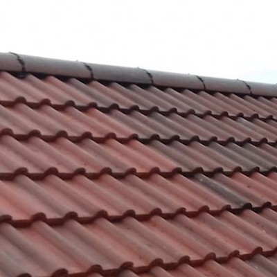 3 Ways to Get Your Landlord to Replace Your Roof