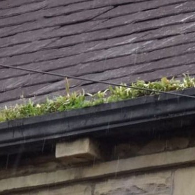 How Often Should I Clean My Gutters?