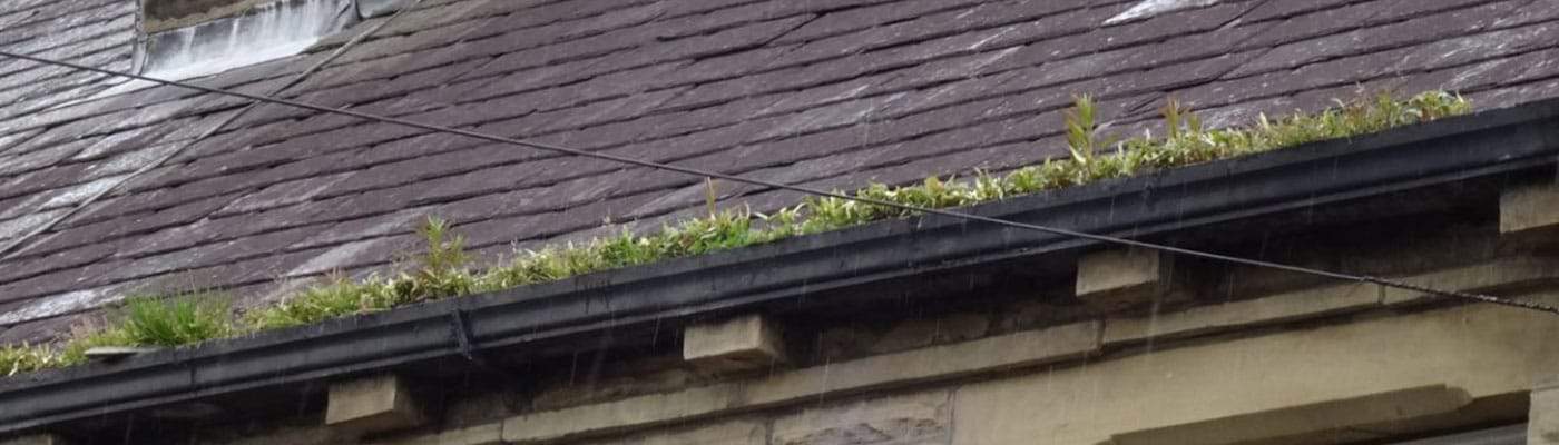 How Often Should I Clean My Gutters?